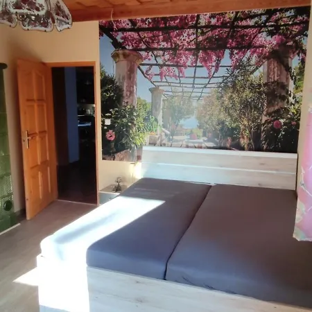 فيلة Bellavitavilla2020