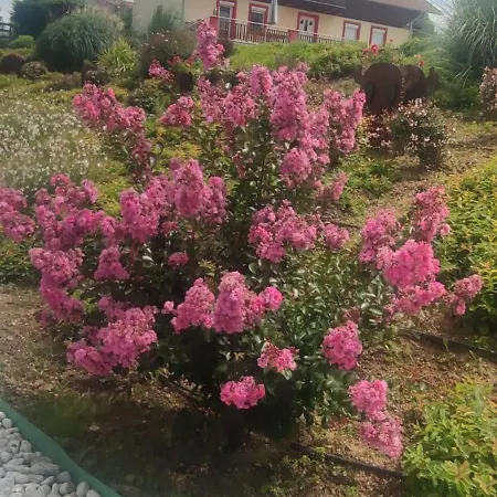 Bellavitavilla2020 فيلة *