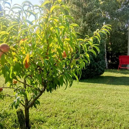 Bellavitavilla2020 *