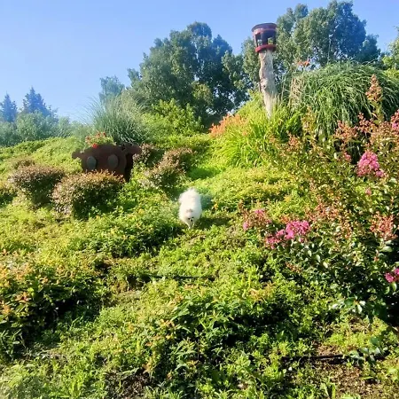 فيلة Bellavitavilla2020