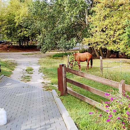 فيلة Bellavitavilla2020 شيوفوك