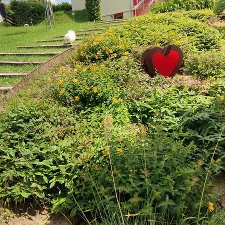 فيلة Bellavitavilla2020 *