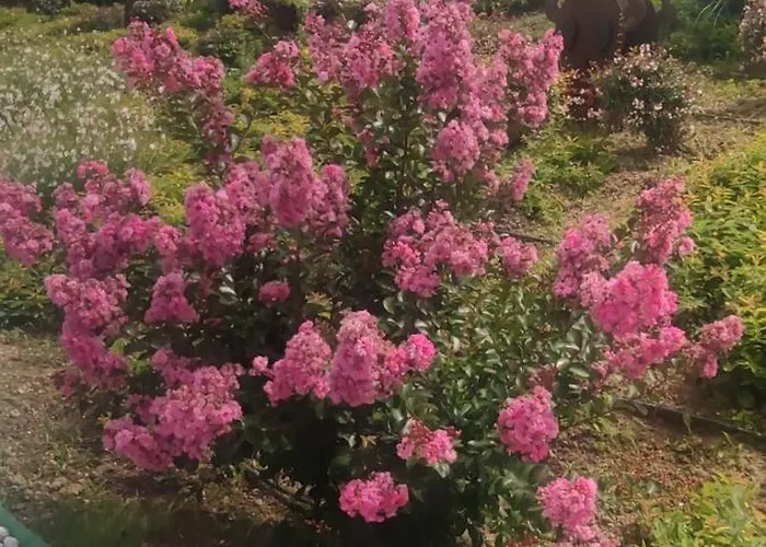 Bellavitavilla2020 Villa *