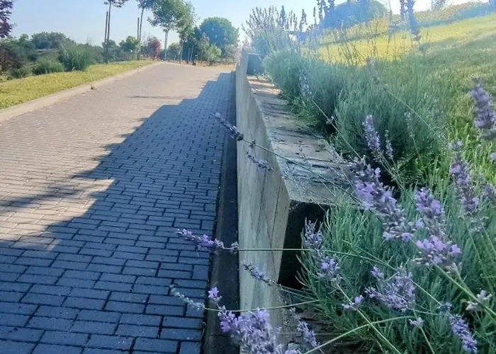 Villa Bellavitavilla2020