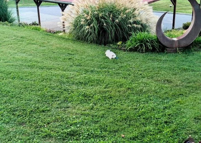 Bellavitavilla2020 Villa Siófok