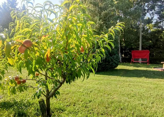 Bellavitavilla2020 *