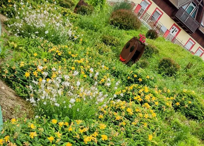 Bellavitavilla2020 * Siófok