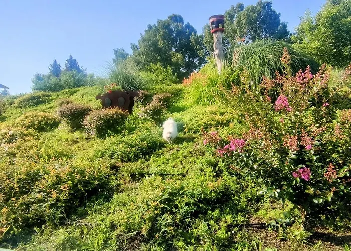 Villa Bellavitavilla2020