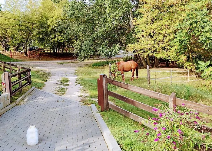 Villa Bellavitavilla2020 Siófok