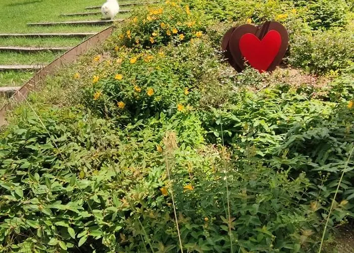 Villa Bellavitavilla2020 *